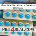 Para Qué Se Utiliza La Gelatina Kamagra new08